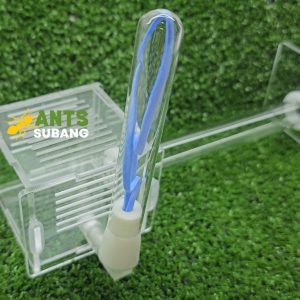 Ant Nest Starter Kit with Feeding Area + Ant Colony