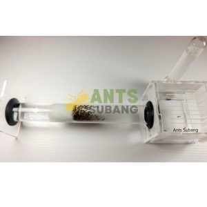Ants-Subang.com - Giant Tube Nest - 4
