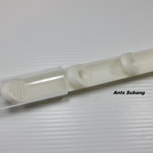 Test Tube Ant farm