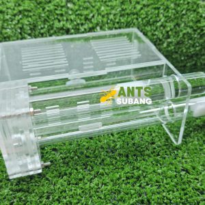 Ant Nest Starter Kit Type 3 + Ant Colony (Double Tube Nest)