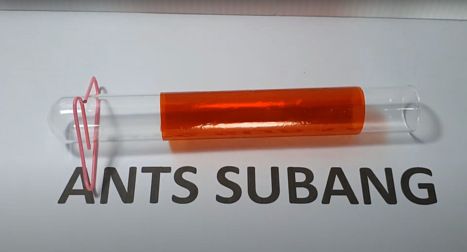 Ant Test Tube Red Shade