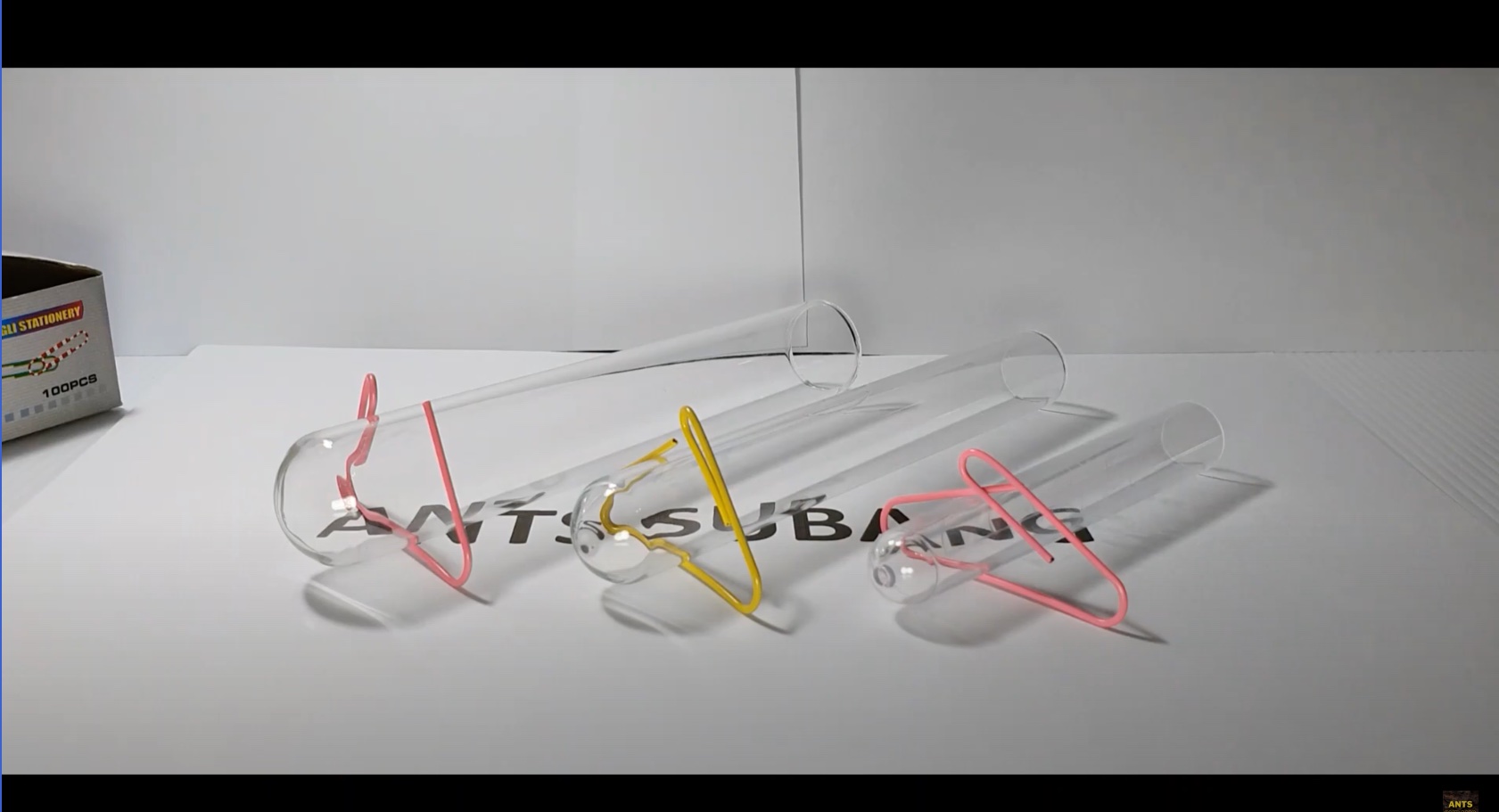 Ants Subang Ant Tip #02 - DIY Test Tube Holder