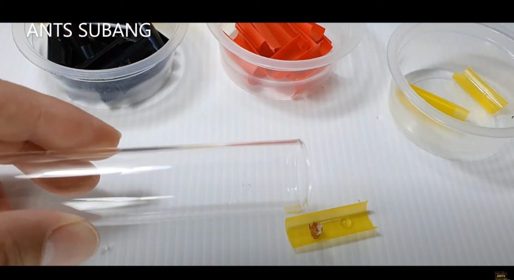 Ants Subang TIP #05: - DIY Feeding Tray