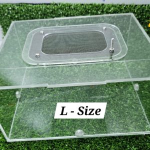 Outworld Arena Nest + Ant Colony (Tubs and Test Tube Setup)